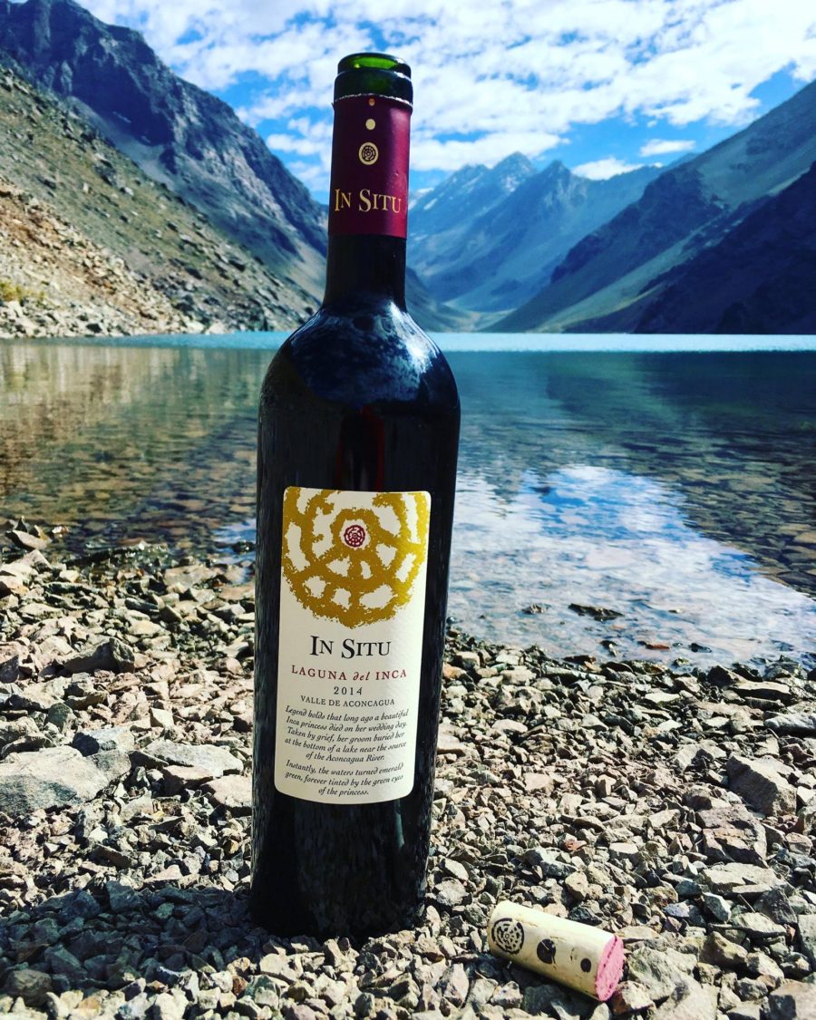 Laguna del Inca – Joya de In Situ Wines